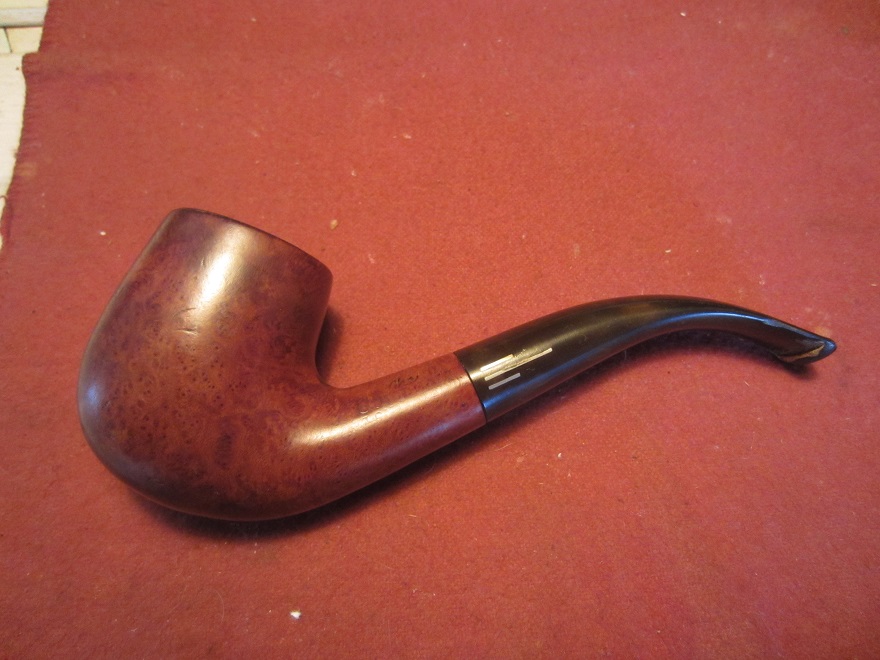 CO-31