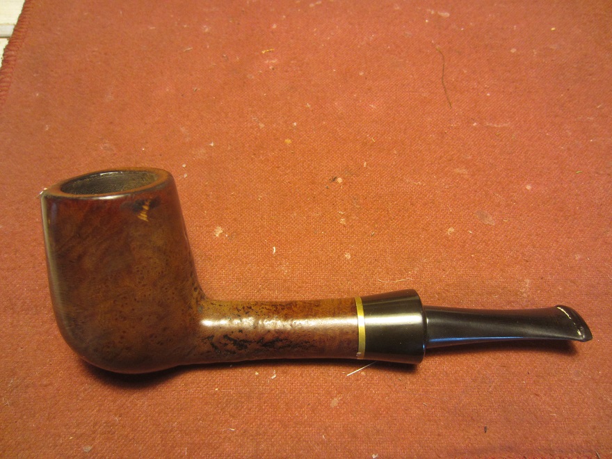 SP-31